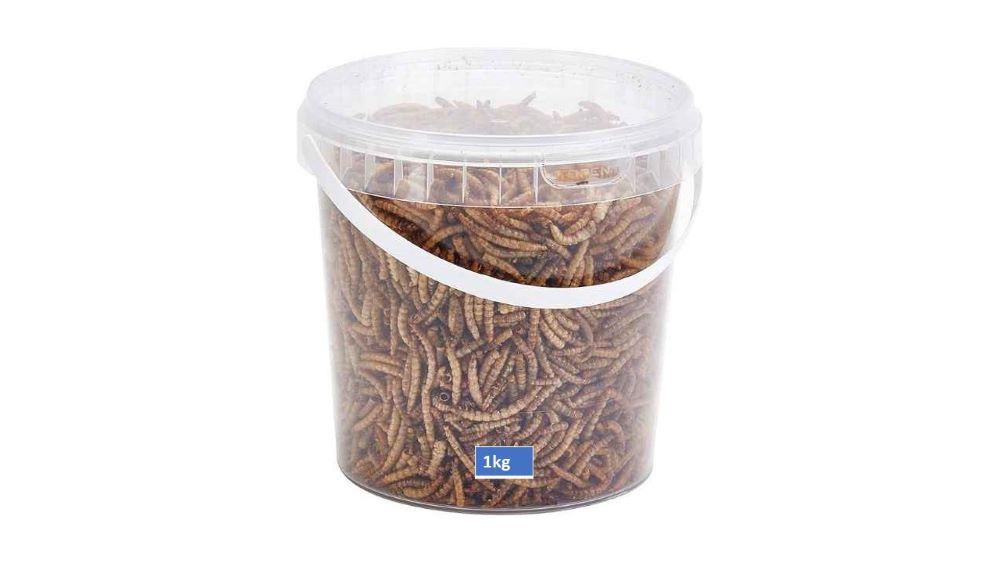 Premium Dried Mealworms