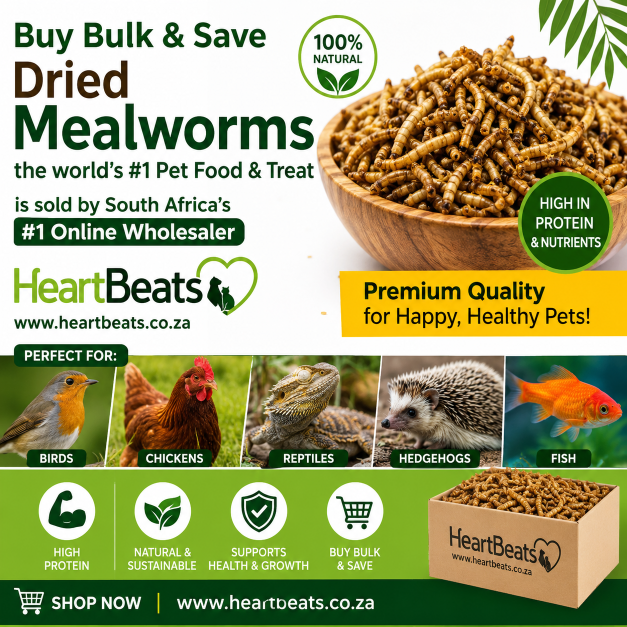 Premium Dried Mealworms