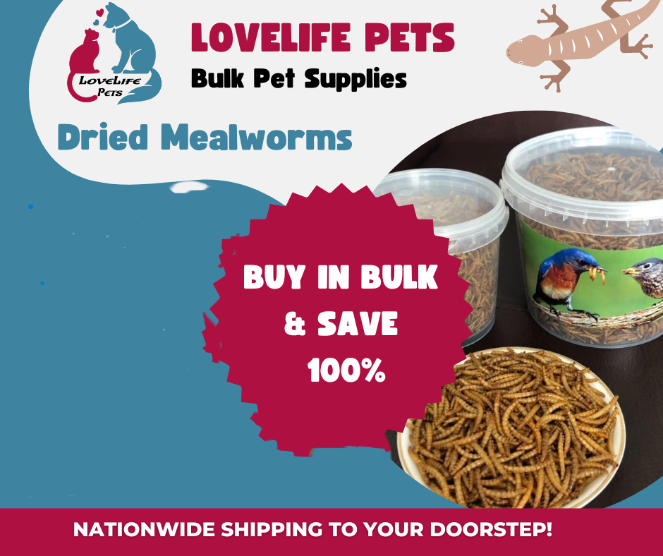Premium Dried Mealworms