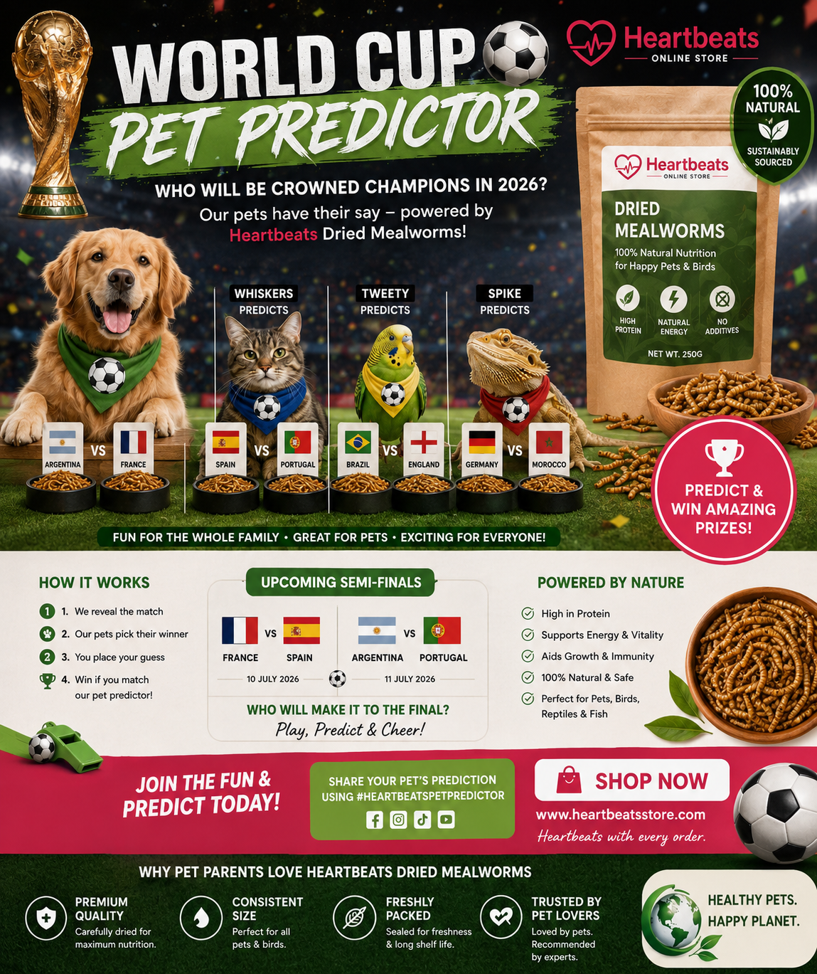 Premium Dried Mealworms