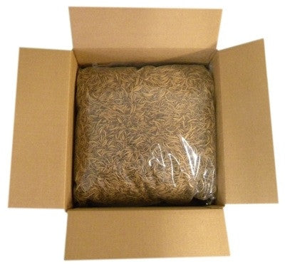 Premium Dried Mealworms