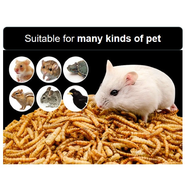 Premium Dried Mealworms